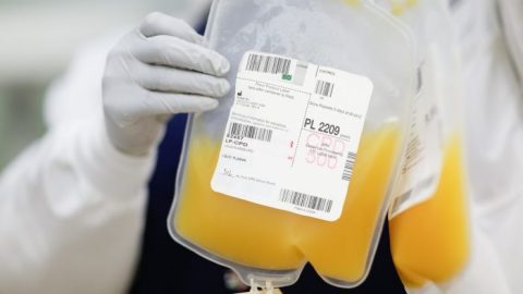 Can You Donate Plasma If You Have Diabetes? Here’s the Truth