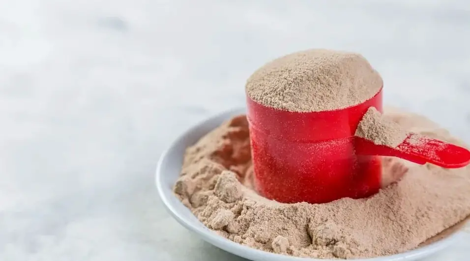 Protein Powder for Diabetics
